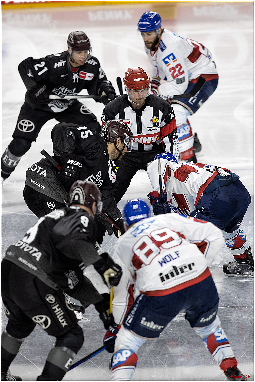PENNY DEL;  Koelner Haie - Adler Mannheim; Koeln, 08.04.2021